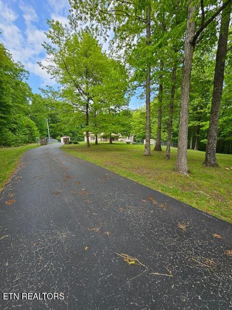 1133 W Laurel Way, Monterey, TN 38574 - view of asphalt driveway