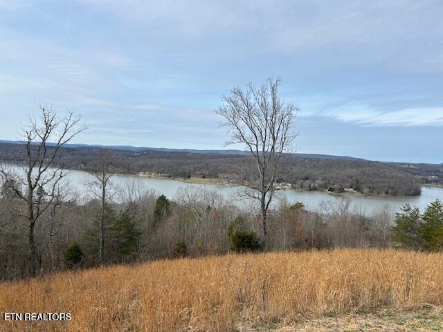 Listing photo 3 for James Ferry Rd, Kingston TN 37763