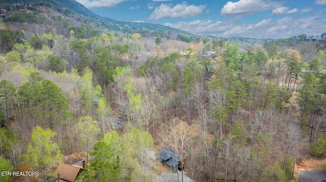 property view of mountains featuring a wooded view