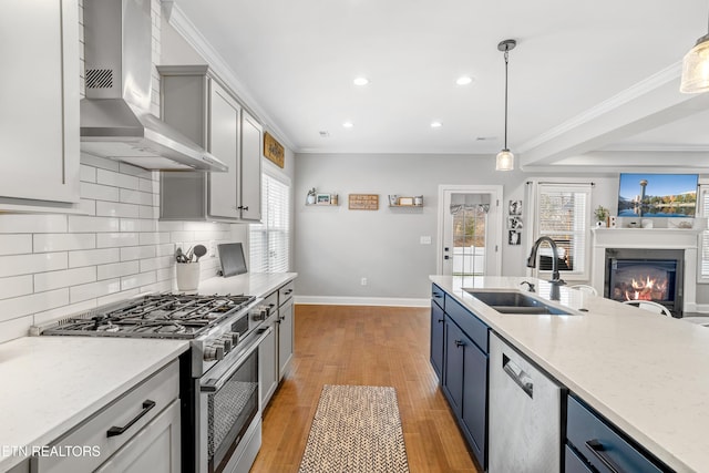 kitchen with a sink, ornamental molding, wall chimney exhaust hood, and stainless steel appliances