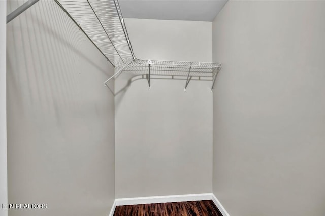 spacious closet with dark wood-style floors