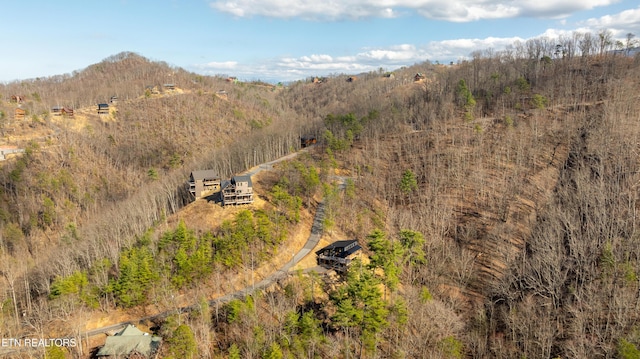 aerial view with a mountain view and a forest view