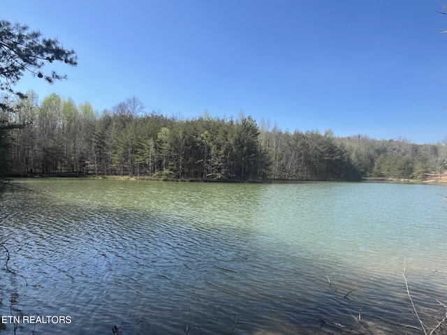 214 Edmonds Rd, Spencer TN, 38585 land for sale