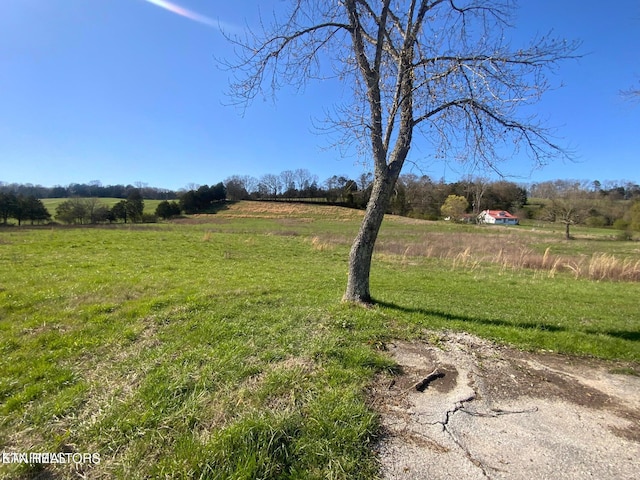 view of yard with a rural view