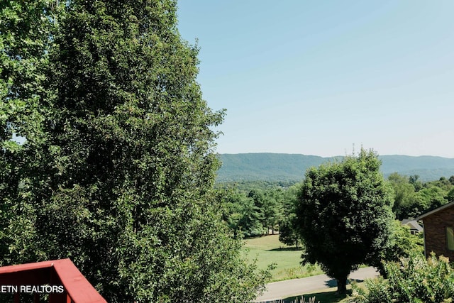 view of mountain feature