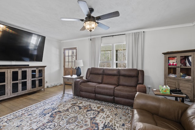 living area featuring a textured ceiling, hardwood / wood-style flooring, a ceiling fan, and ornamental molding