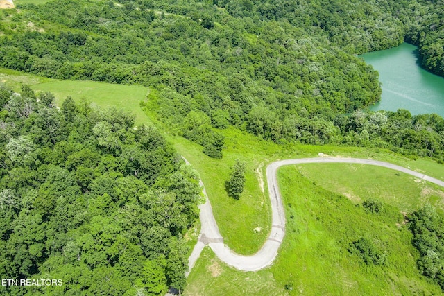 0 Bald Eagle Ln, Hilham, TN 38568