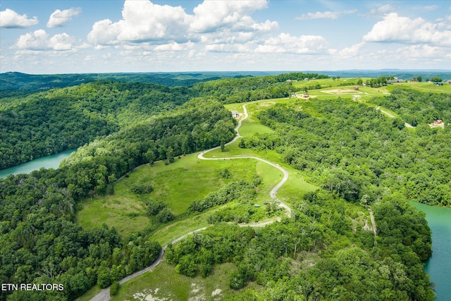 0 Bald Eagle Ln, Hilham, TN 38568