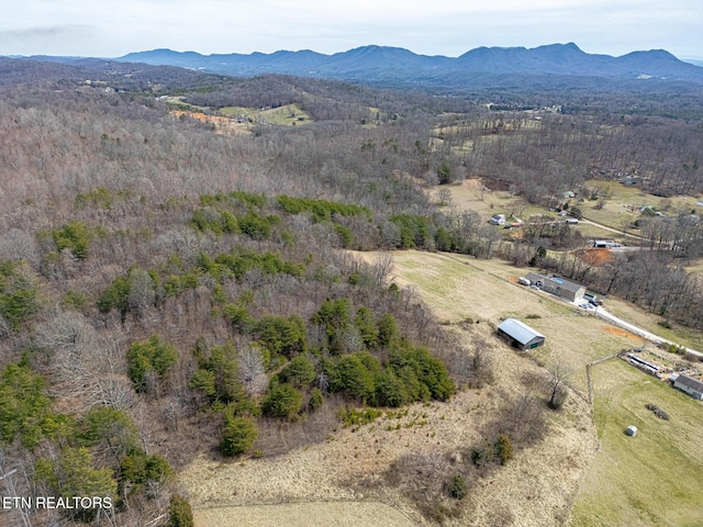 drone / aerial view with a mountain view