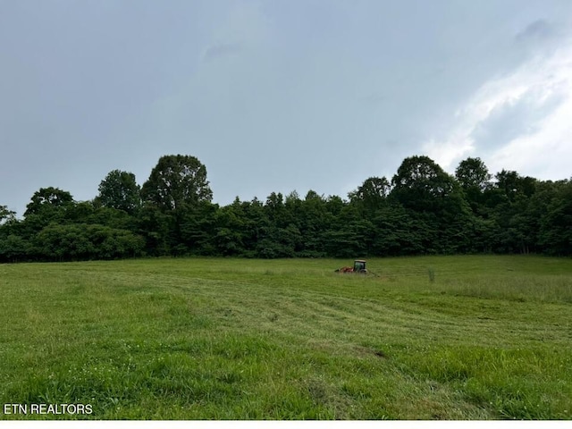 view of yard featuring a rural view