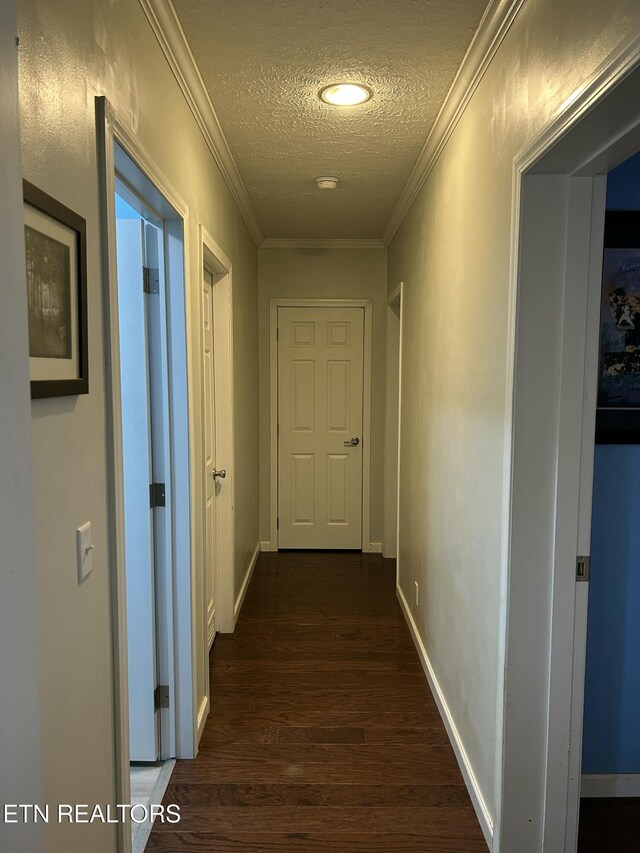 440 Wallace Rd, Luttrell, TN 37779 - photo 21