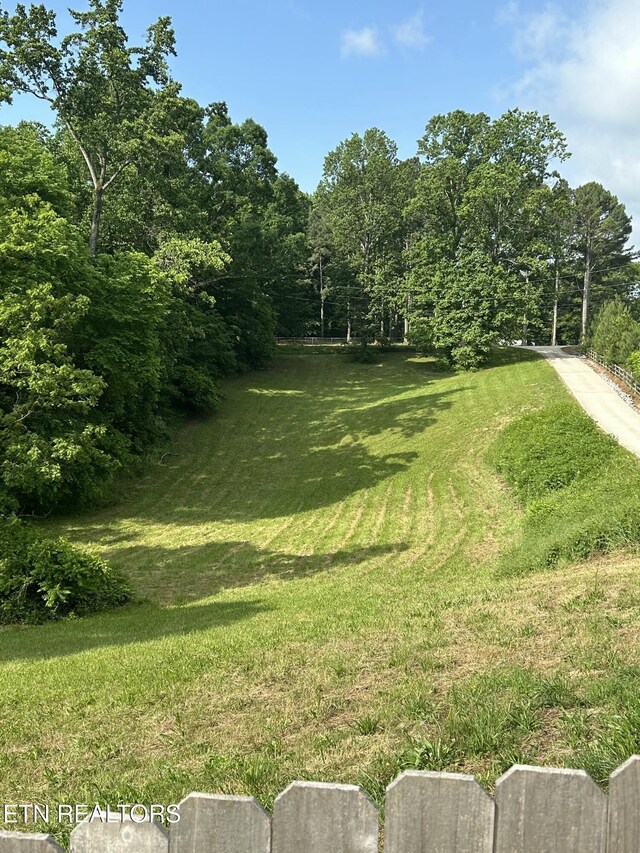 440 Wallace Rd, Luttrell, TN 37779 - photo 40