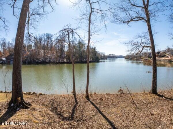 Edgewater Way, Ten Mile TN, 37880 land for sale