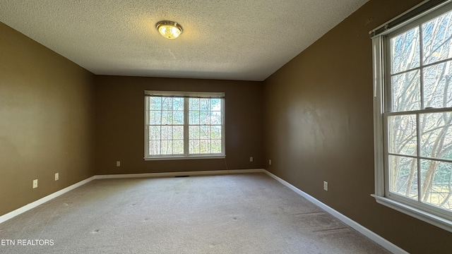 spare room featuring baseboards, carpet floors, and a textured ceiling