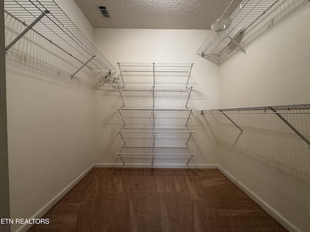walk in closet featuring visible vents and carpet flooring