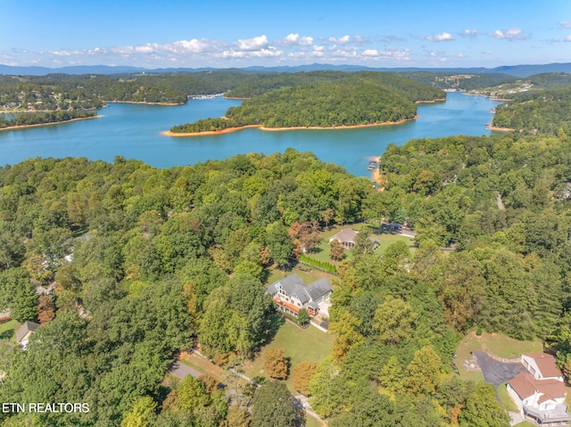 birds eye view of property with a view of trees and a water view