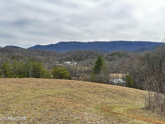 property view of mountains with a view of trees