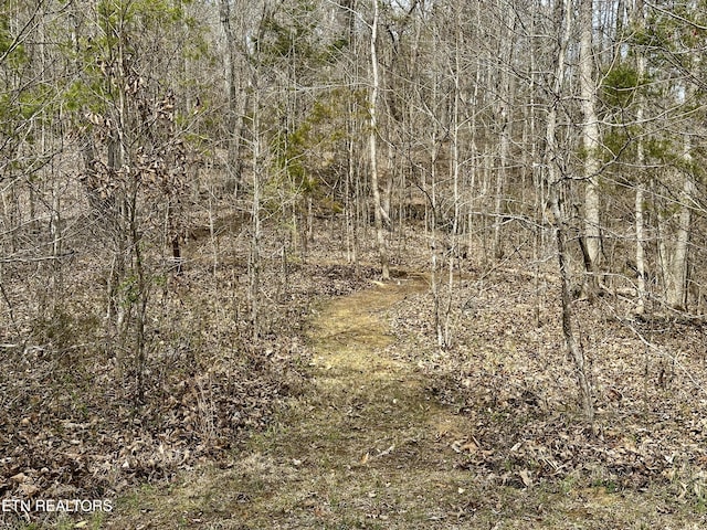 view of local wilderness