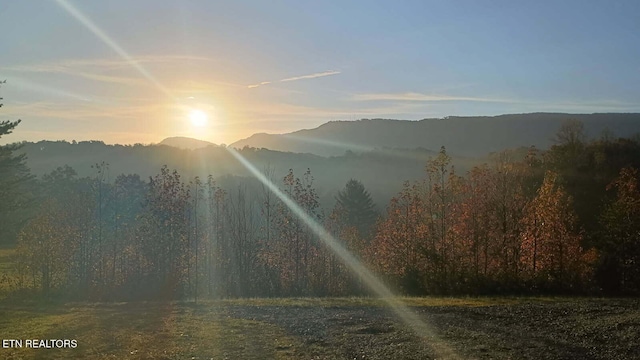 view of mountain feature featuring a forest view