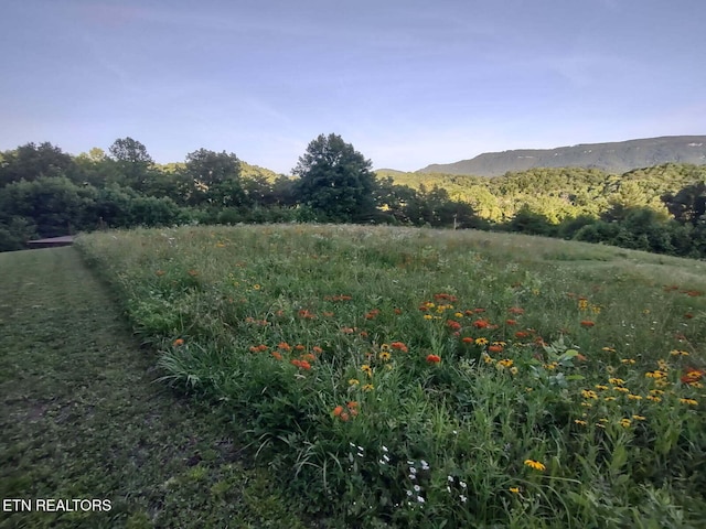 property view of mountains