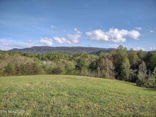 view of mountain feature with a wooded view