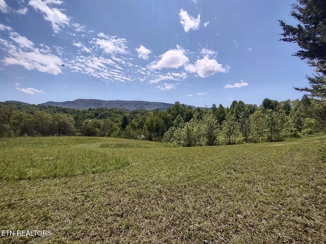 property view of mountains featuring a forest view