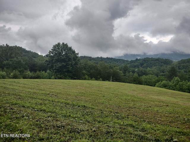 property view of mountains featuring a forest view