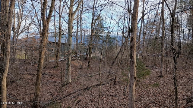 view of nature with a wooded view