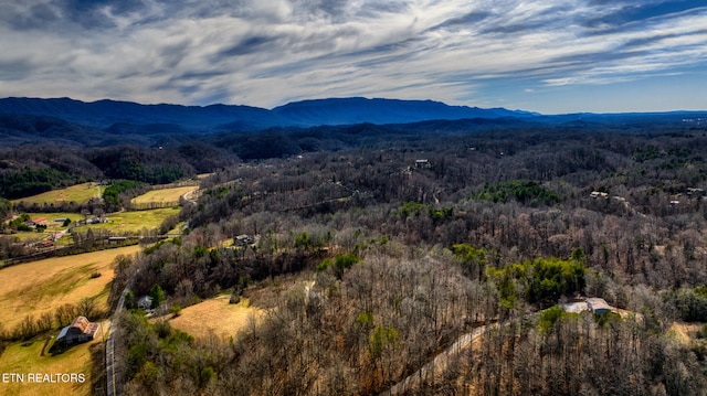 property view of mountains featuring a view of trees