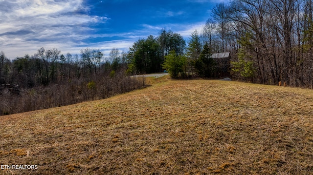 view of yard with a wooded view