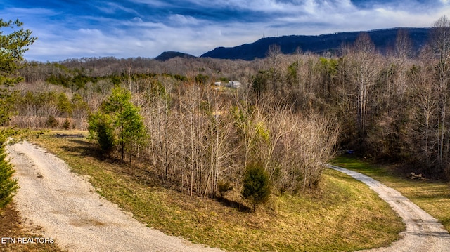 view of mountain feature with a forest view