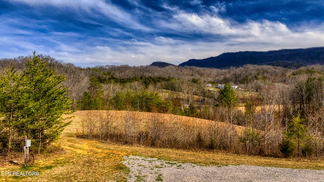 property view of mountains featuring a view of trees