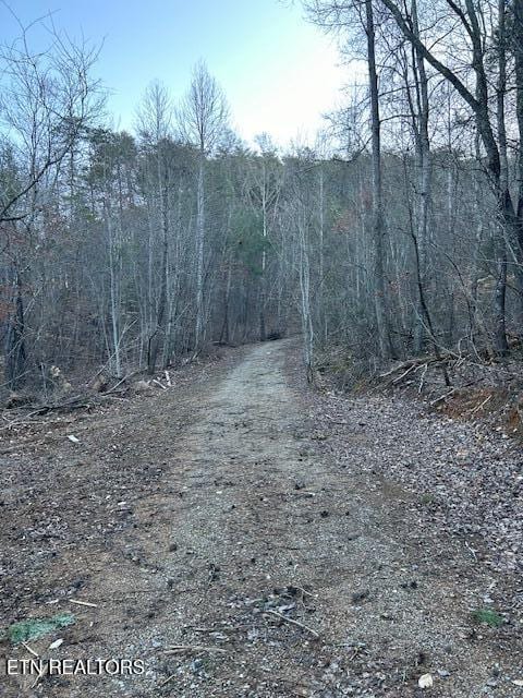 Popular Rd, Tellico Plains TN, 37385 land for sale