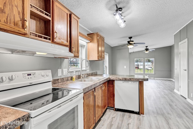 kitchen with a sink, under cabinet range hood, white appliances, light wood-style floors, and a peninsula