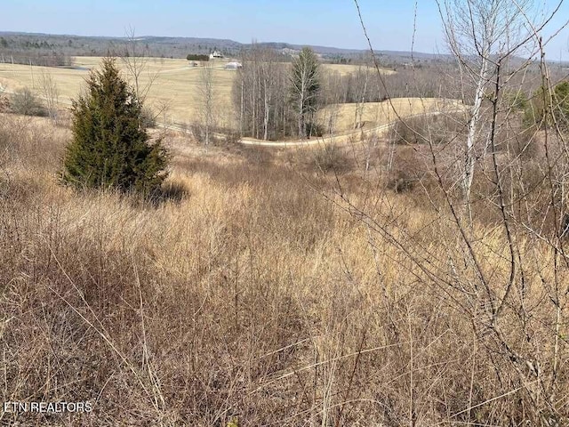 view of local wilderness with a rural view