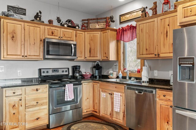 kitchen featuring a sink, stainless steel appliances, and light brown cabinets