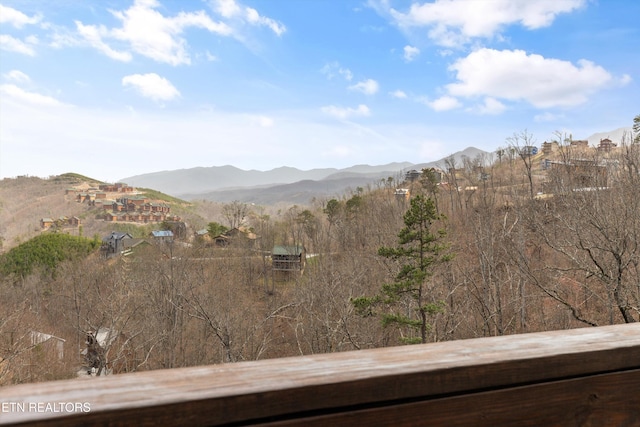 view of mountain feature