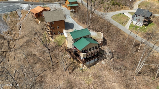 bird's eye view