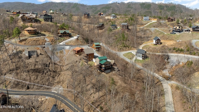 birds eye view of property featuring a mountain view