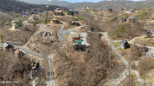 drone / aerial view featuring a mountain view
