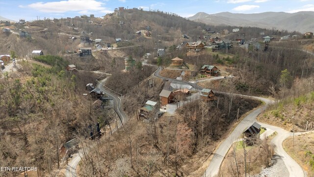 bird's eye view featuring a mountain view