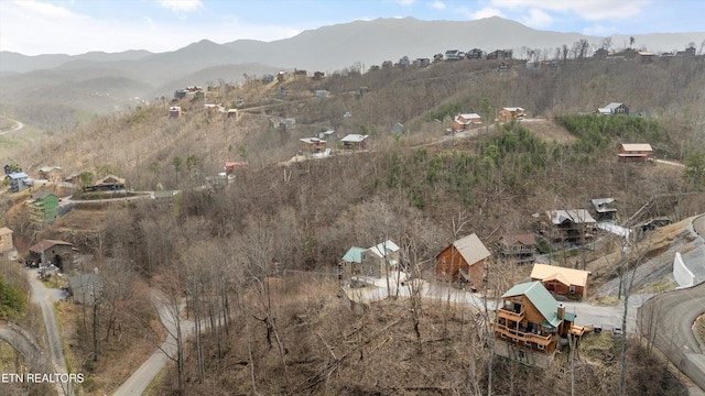 mountain view