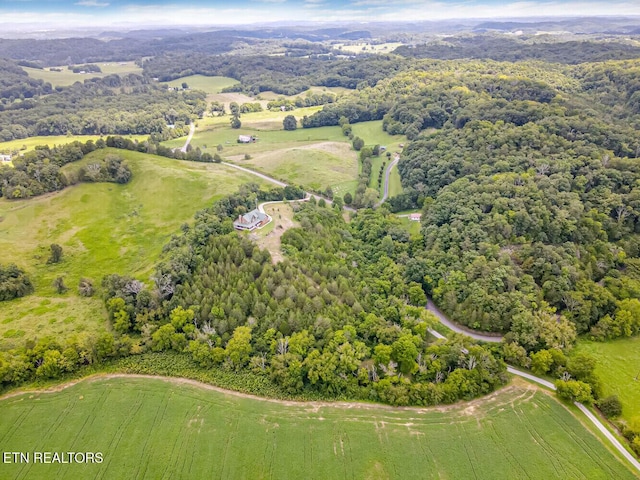 drone / aerial view