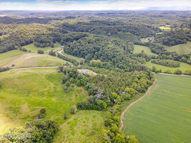 aerial view with a view of trees