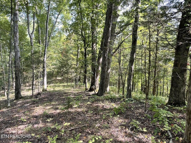 view of landscape with a view of trees