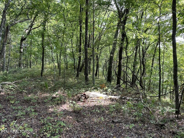 view of local wilderness featuring a wooded view