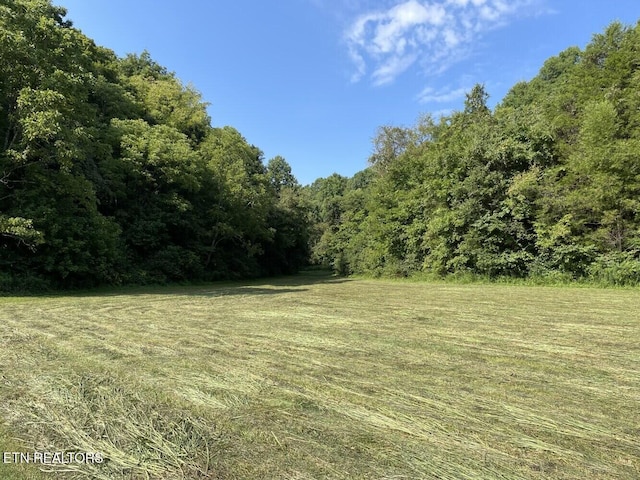 view of yard featuring a forest view