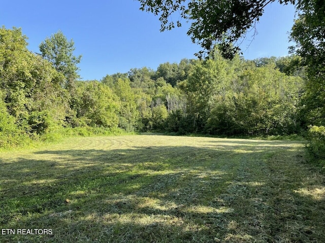 view of yard featuring a forest view