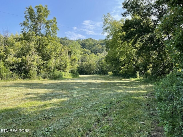 view of local wilderness featuring a forest view