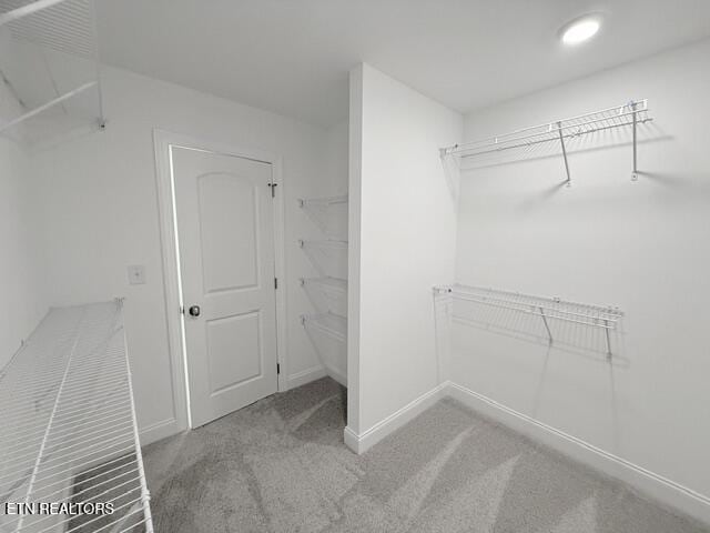 walk in closet with carpet